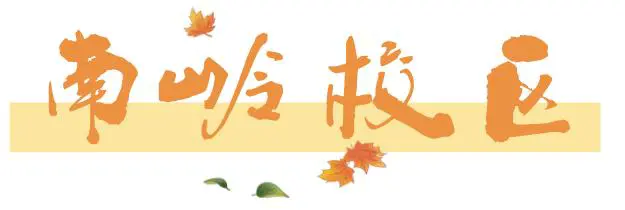 石家庄篮球训练营地址电话_1